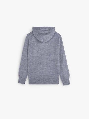 Scalpers Sweater 'Skull' in Grey