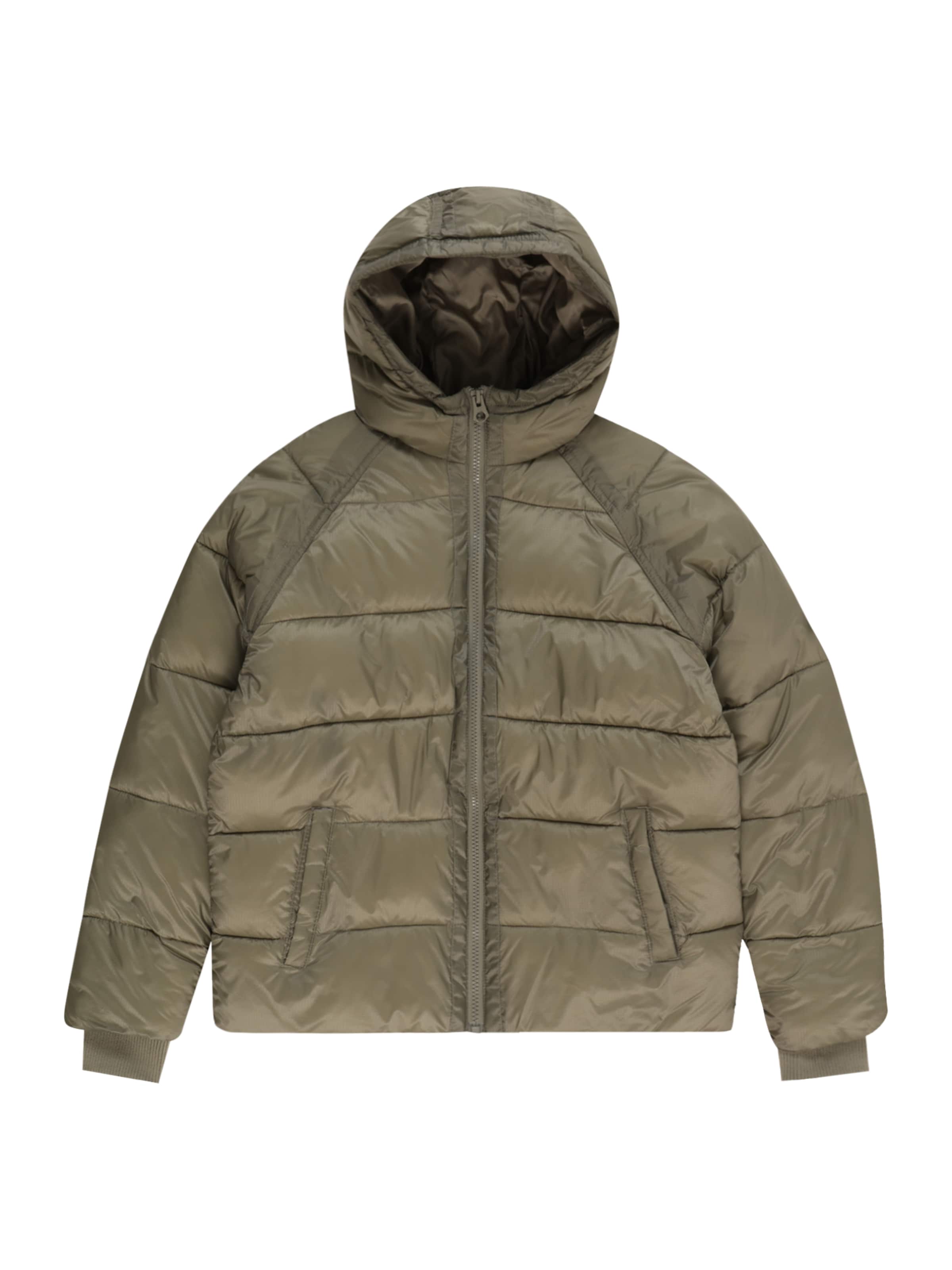 DC Shoes Ulkoilutakki värissä vihreä: etupuoli