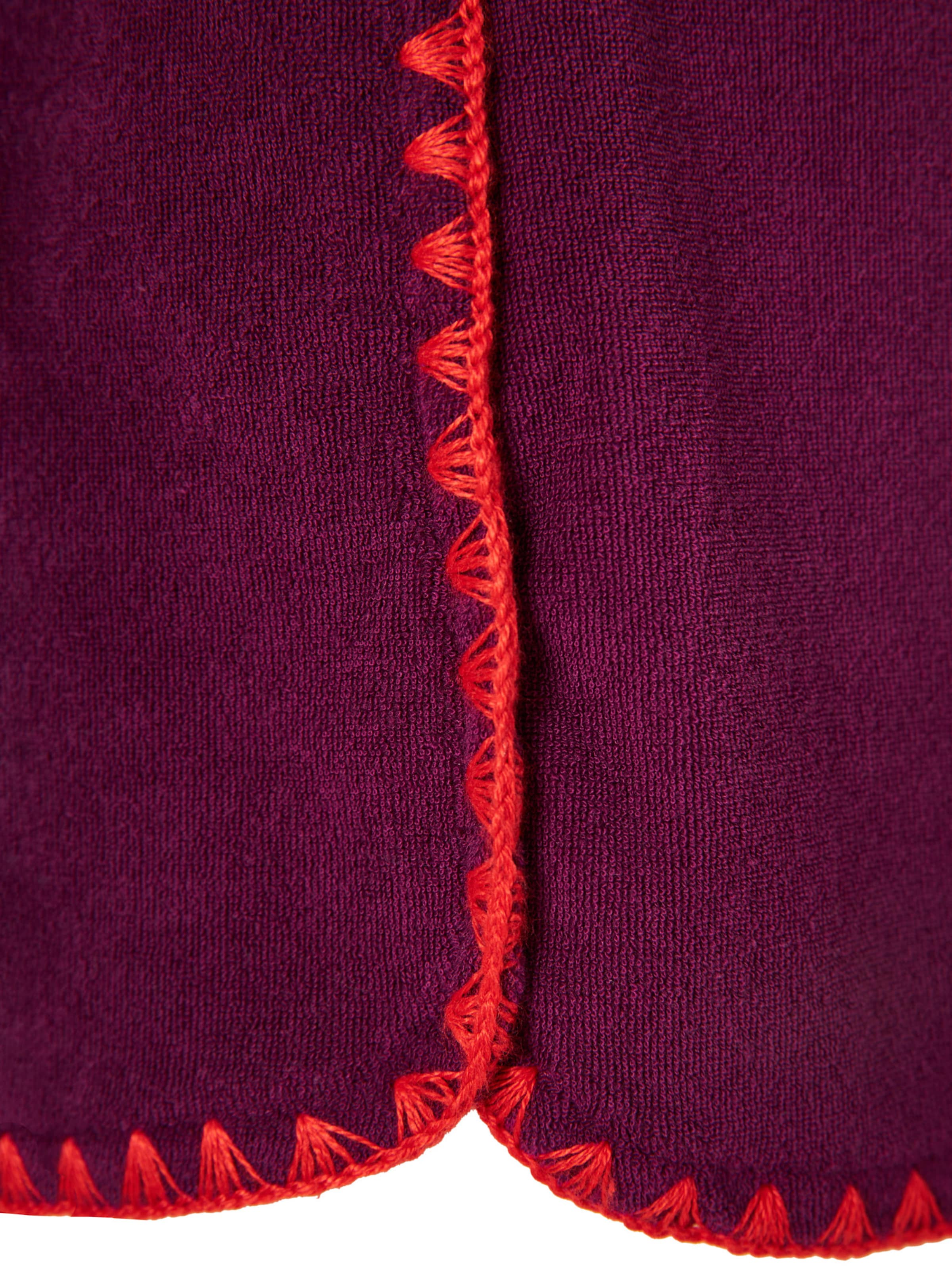 Funky Buddha Regular Pants in Purple