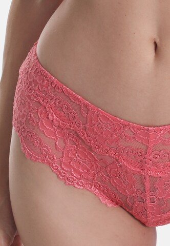 sassa Panty 'CLASSIC LACE' in Orange