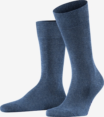 FALKE Socks 'Family' in Blue: front