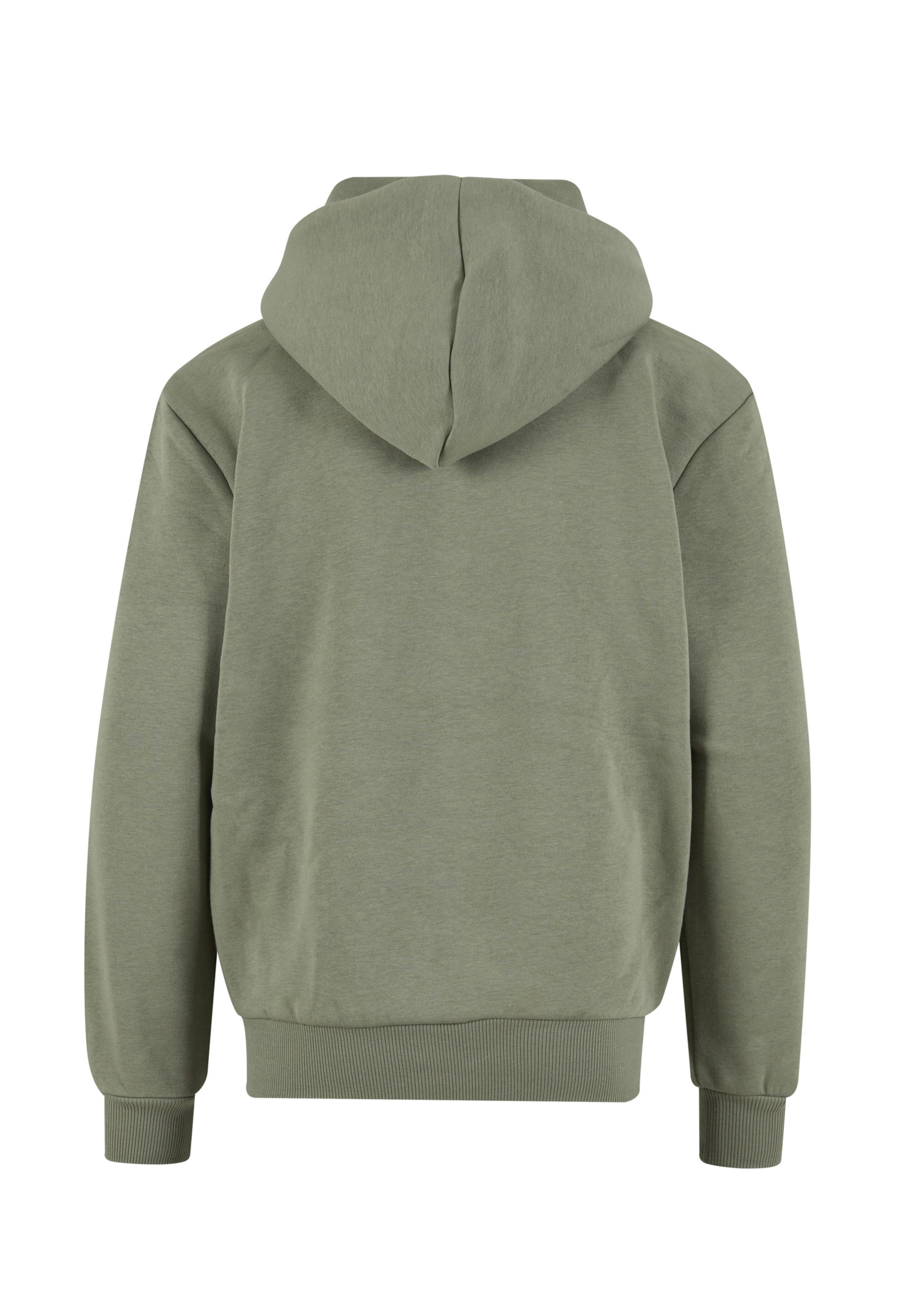 Karl Kani Zip-Up Hoodie 'Essential' in Green