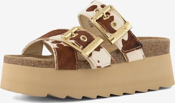 COLORS OF CALIFORNIA Mule in Brown: front