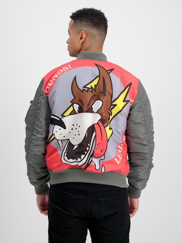 ALPHA INDUSTRIES Övergångsjacka 'Fighter Squadron' i grå