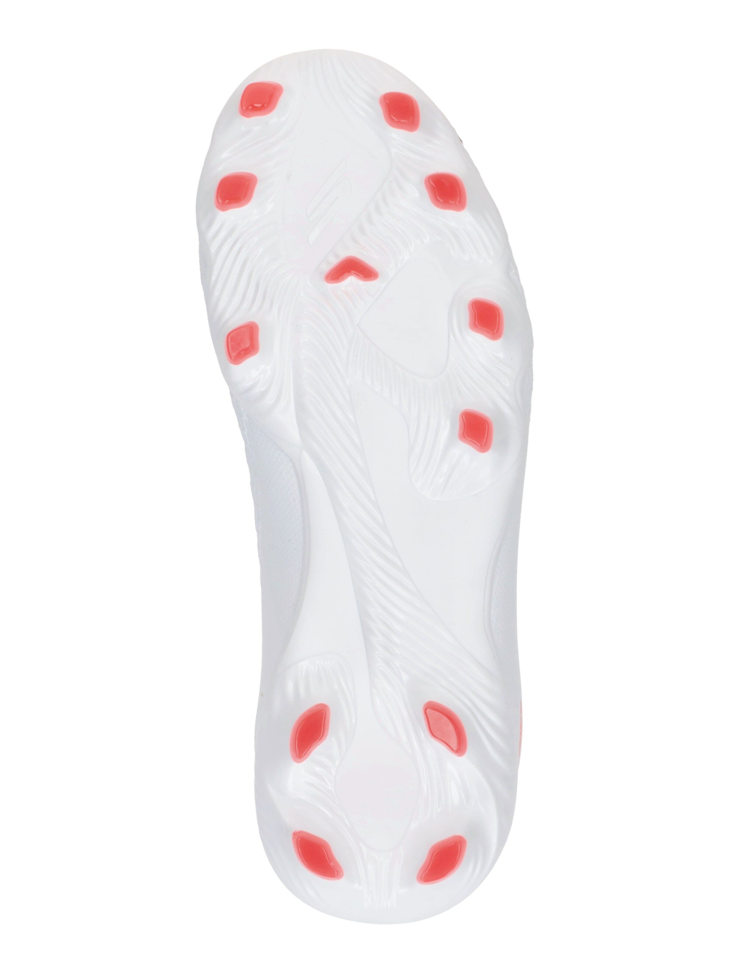 SKECHERS Športni čevelj | bela barva