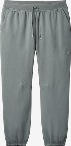 Calvin Klein Tapered Hose in Grau: Vorderseite