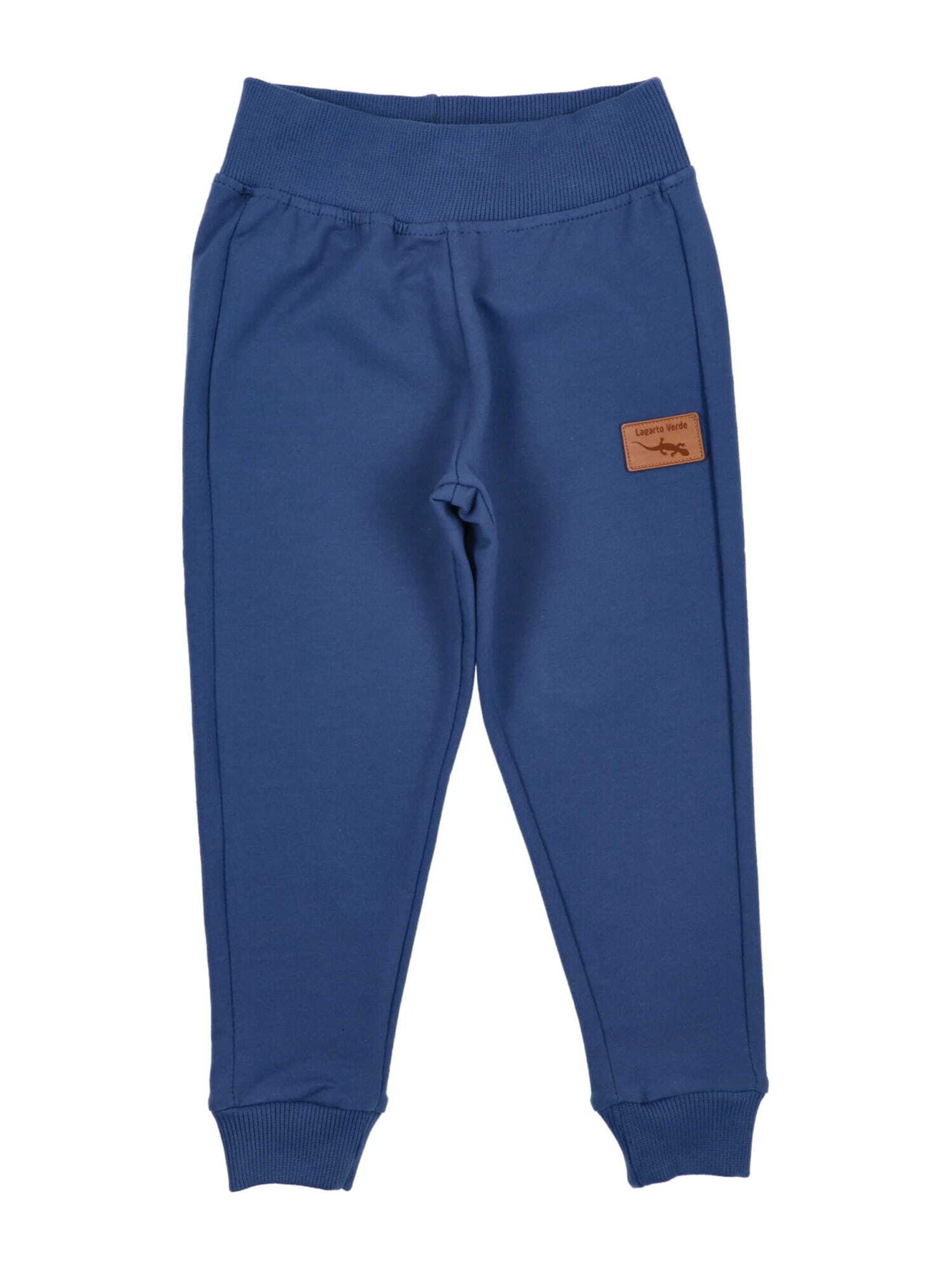 Regular Pantalon de sport Lagarto Verde en bleu : devant