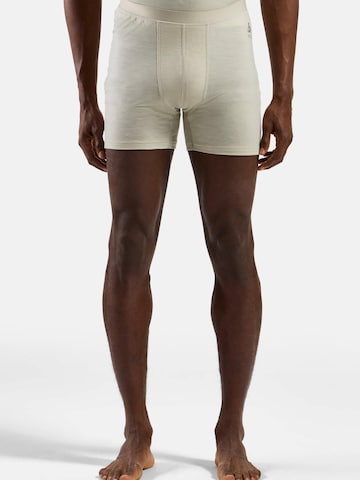 ODLO Sports underpants in Grey