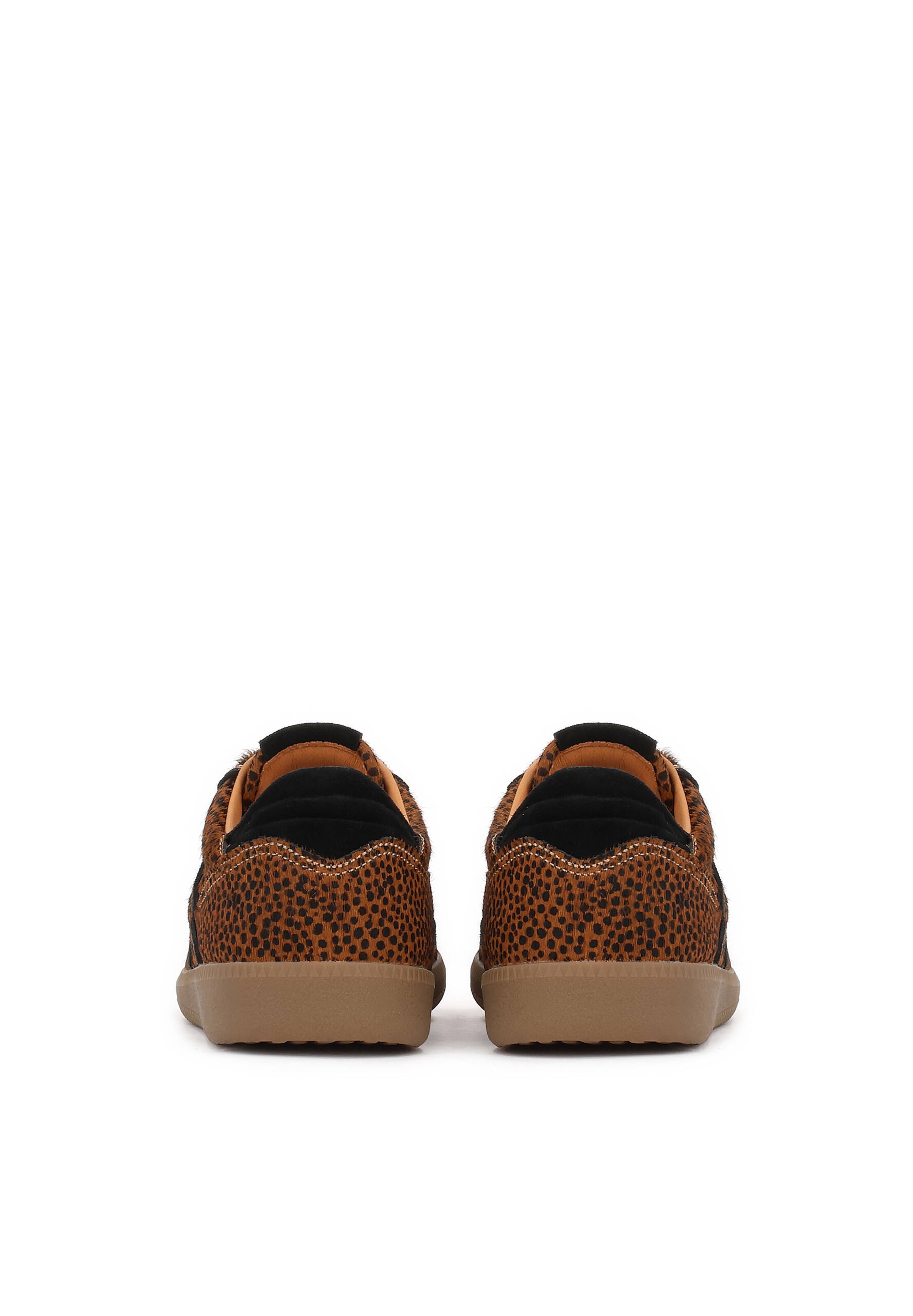 Kazar Sneakers in Brown