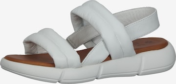 ILC Sandals in White: front