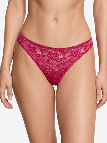 Hanro Thong 'French Lace' in Purple: front