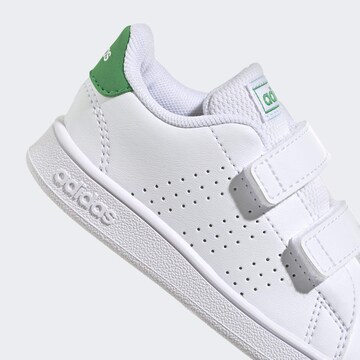 ADIDAS ORIGINALS Trampki 'Advantage' w kolorze biały