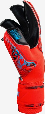 REUSCH Athletic Gloves 'Attrakt Gold X Evolution Cut' in Red