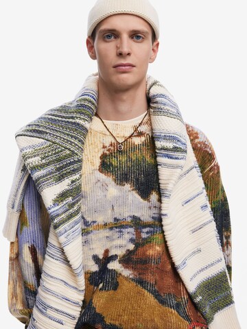 Desigual Свитер в Смешанный