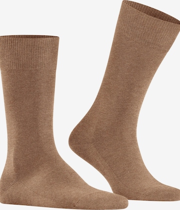 FALKE Socks 'Family' in Brown: front