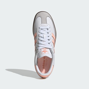 ADIDAS ORIGINALS Σνίκερ χαμηλό 'Samba Og' σε λευκό