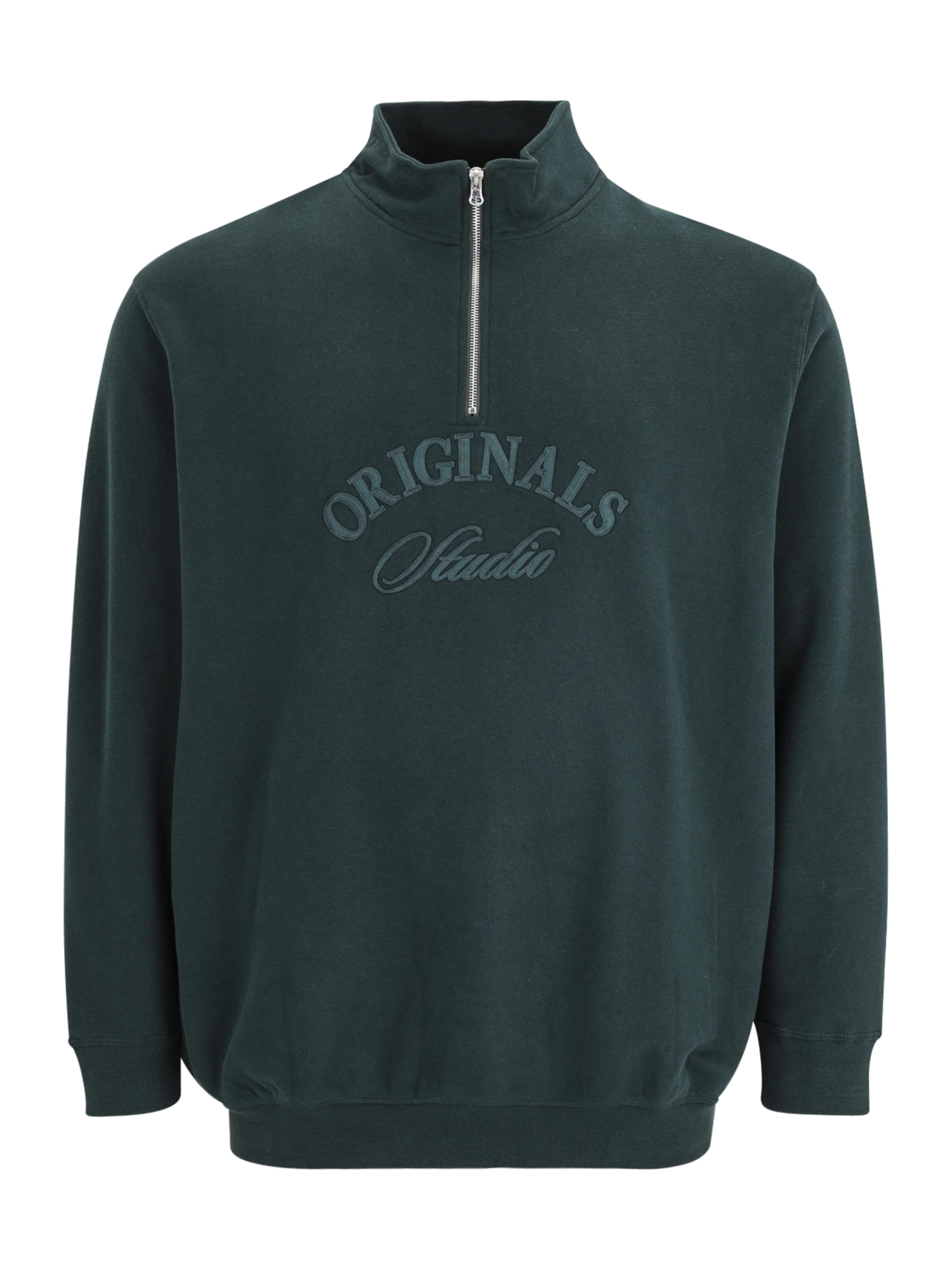 Jack & Jones Plus Μπλούζα φούτερ 'JORBLEECKER' σε πράσινο: μπροστά