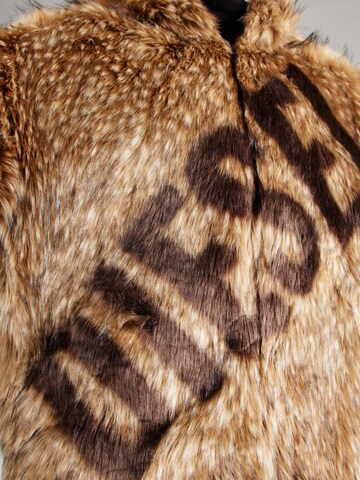 Veste d’hiver 'W-MAG' DIESEL en marron
