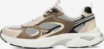 Baskets basses PS Poelman en mélange de couleurs : devant