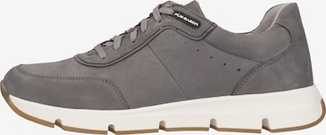 Sneaker bassa di Pius Gabor in grigio