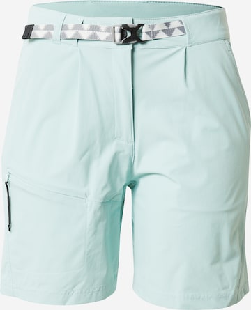 Regular Pantalon de sport 'MARSALA' ICEPEAK en vert : devant