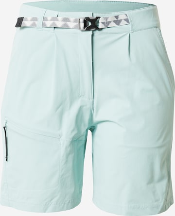 ICEPEAK Regular Sportshorts 'MARSALA' in Grün: predná strana