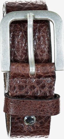 JP1880 Belt in Brown