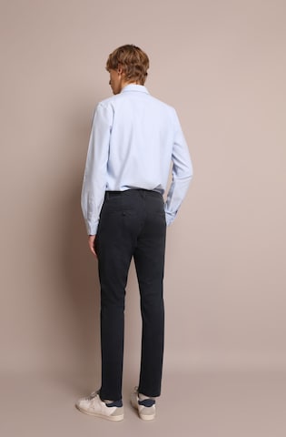 Scalpers Regularen Chino hlače | modra barva