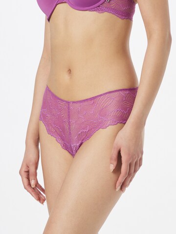 Calvin Klein Underwear Boyshorts in Purple: front