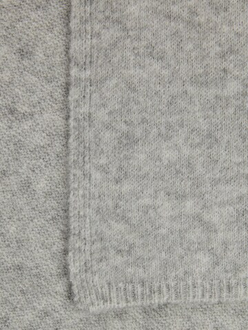 CAMEL ACTIVE Scarf in Grey