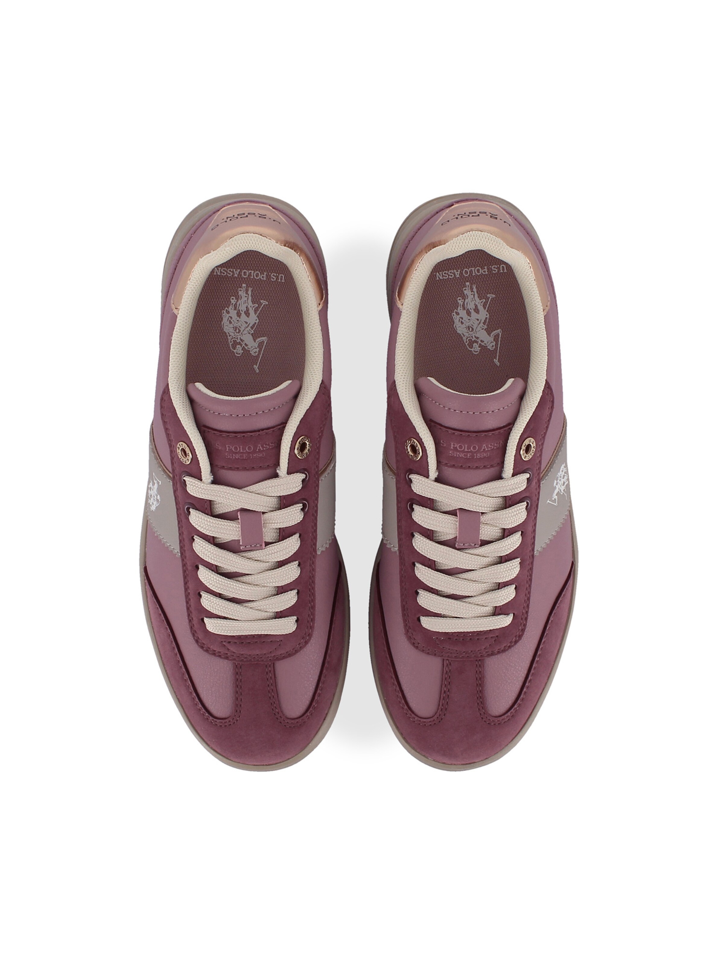Baskets basses 'Campy' US POLO ASSN. en violet