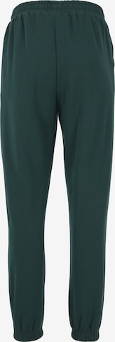 ENDURANCE Regular Workout Pants 'Beisa' in Green