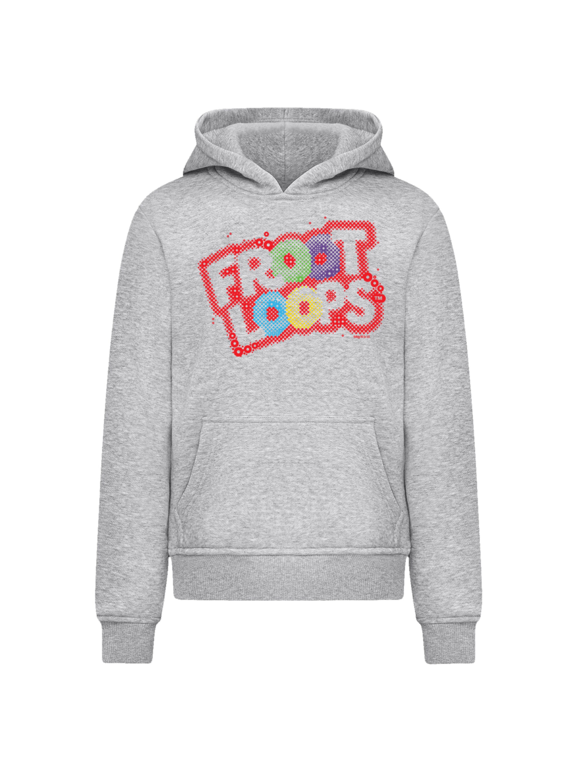F4NT4STIC Hoodie in Grau: Vorderseite