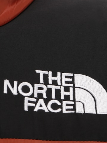 THE NORTH FACE - Ajuste regular Chaqueta de entretiempo 'Himalayan' en marrón