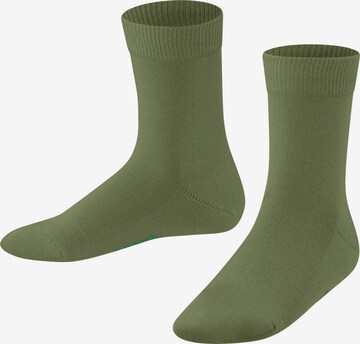 FALKE Socks 'Family' in Green: front