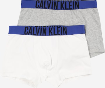 Calvin Klein Underwear Nohavičky - Sivá: predná strana