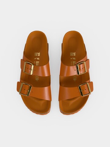 BIRKENSTOCK Mule 'Arizona' in Orange