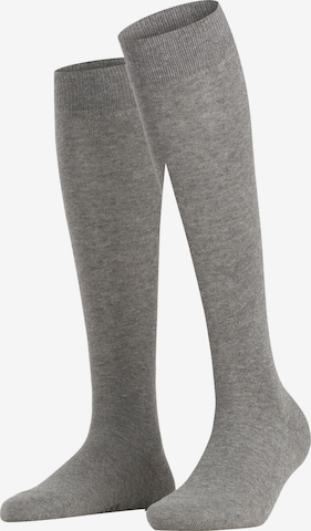 Chaussettes montantes 'Family' FALKE en gris : devant