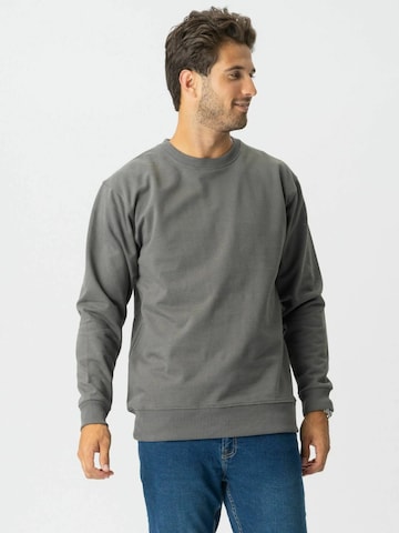 Pull-over ' Sweatshirt ' TEESHOPPEN en gris : devant