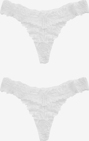 balta Next Siaurikės: priekis