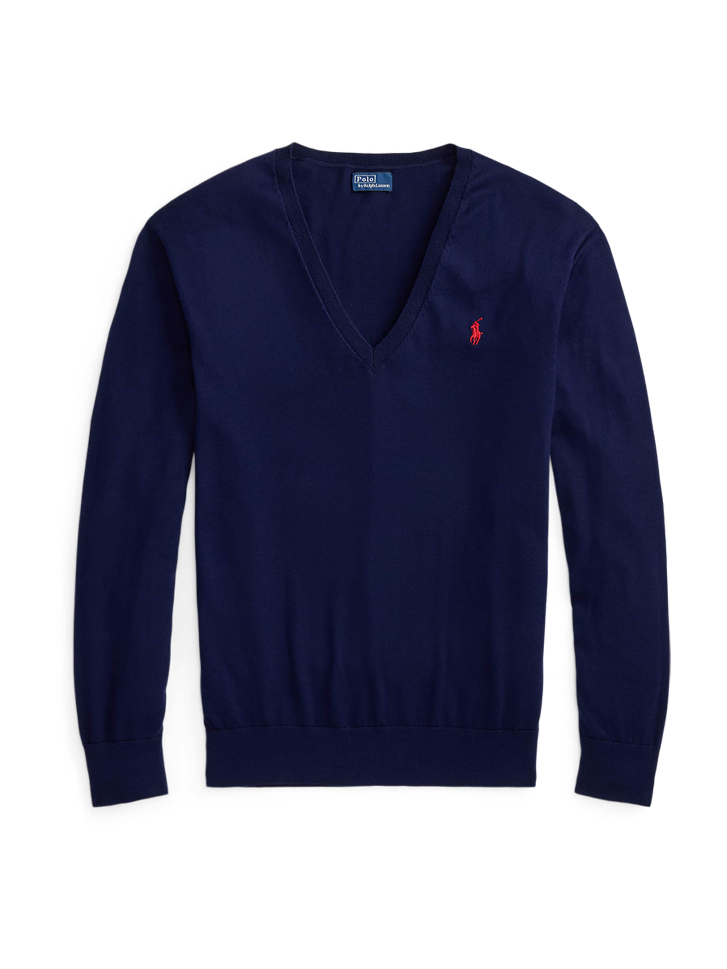 Polo Ralph Lauren Sweater in Blue: front