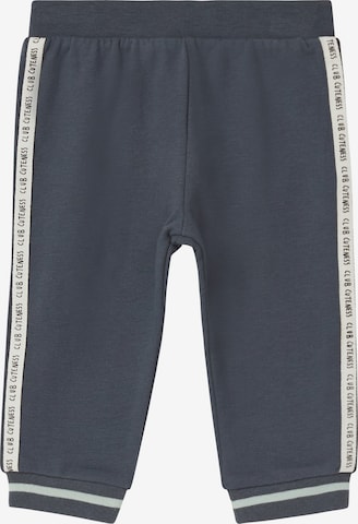 s.Oliver Leggings in Grau: Vorderseite