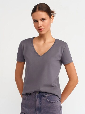 Dilvin T-Shirts in Grau: Vorderseite