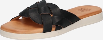 Apple of Eden Mules 'Halma' in Black: front