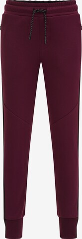 WE Fashion Regular Trousers in Purple: front