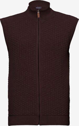 Felix Hardy Gebreid vest in Bruin: voorkant