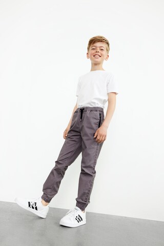 Tapered Pantaloni 'Romeo' di NAME IT in grigio