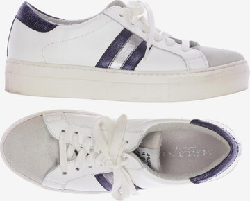 Meline Sneakers & Trainers in 41 in White: front