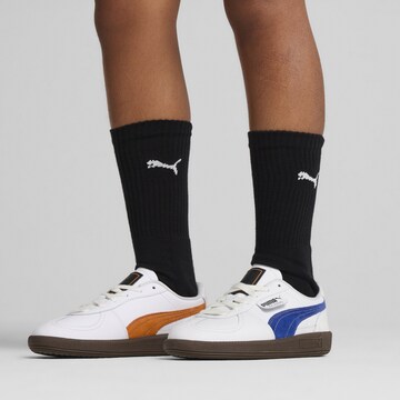 Baskets PUMA en blanc