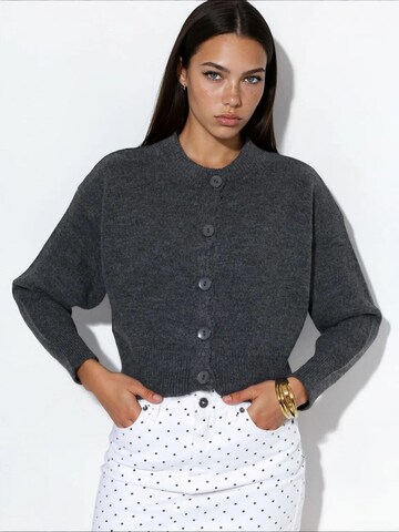 Viorna Knit cardigan 'Strickjacken' in Grey: front